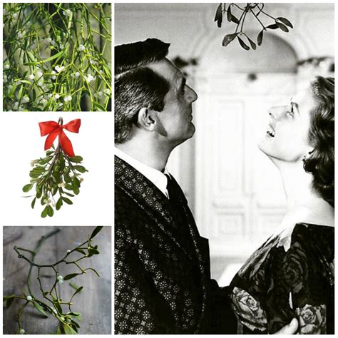 Mistletoe Magic: Unlocking the Doorways to Good Fortune